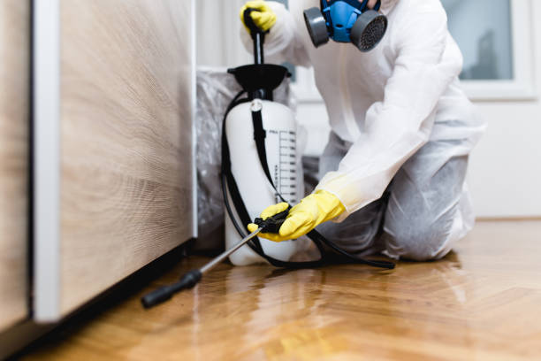 Best Local Pest Control Services  in Trafalgar, IN