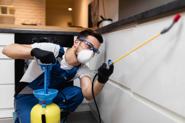 Best Pest Control Near Me  in Trafalgar, IN