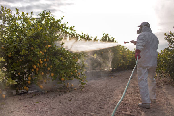 Best Best Pest Control Companies  in Trafalgar, IN
