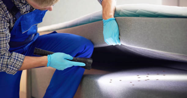 Best Best Pest Control Companies  in Trafalgar, IN