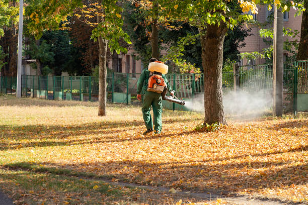 Best Wildlife Control Services  in Trafalgar, IN