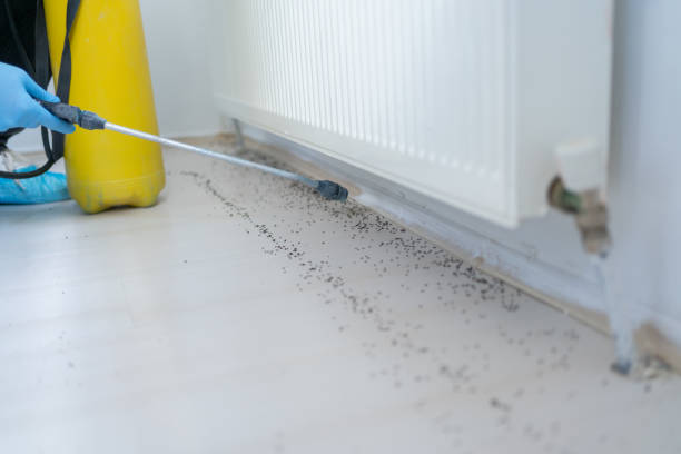 Best Emergency Pest Control  in Trafalgar, IN