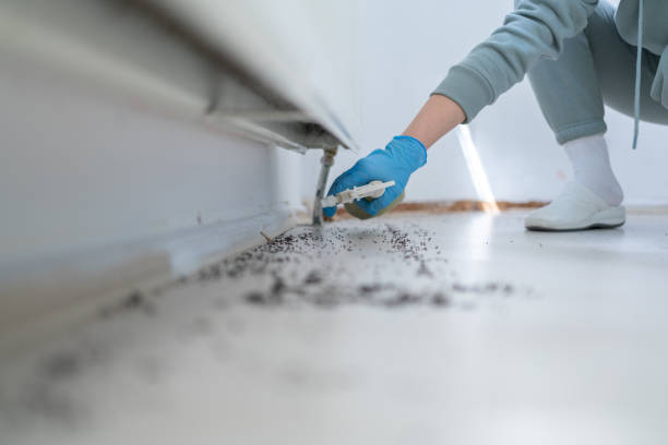 Best Exterminator Services  in Trafalgar, IN
