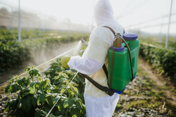 Pest Control Cost in Trafalgar, IN